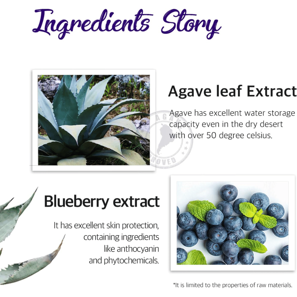 Immagine informativa sugli ingredienti come l’estratto di foglie di agave e l’estratto di mirtillo. L’attenzione è rivolta all’idratazione, alla protezione della pelle e alle proprietà nutrienti degli ingredienti di origine vegetale.