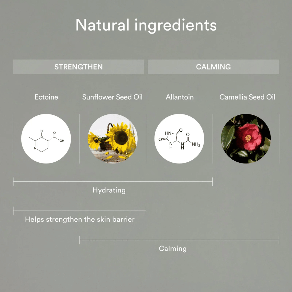 L'immagine mostra ingredienti naturali che rafforzano e calmano la pelle: Ectoin e olio di semi di girasole aiutano a idratare e rafforzare la barriera cutanea, mentre allantoina e olio di semi di camelia calmano e proteggono la pelle sensibile.
