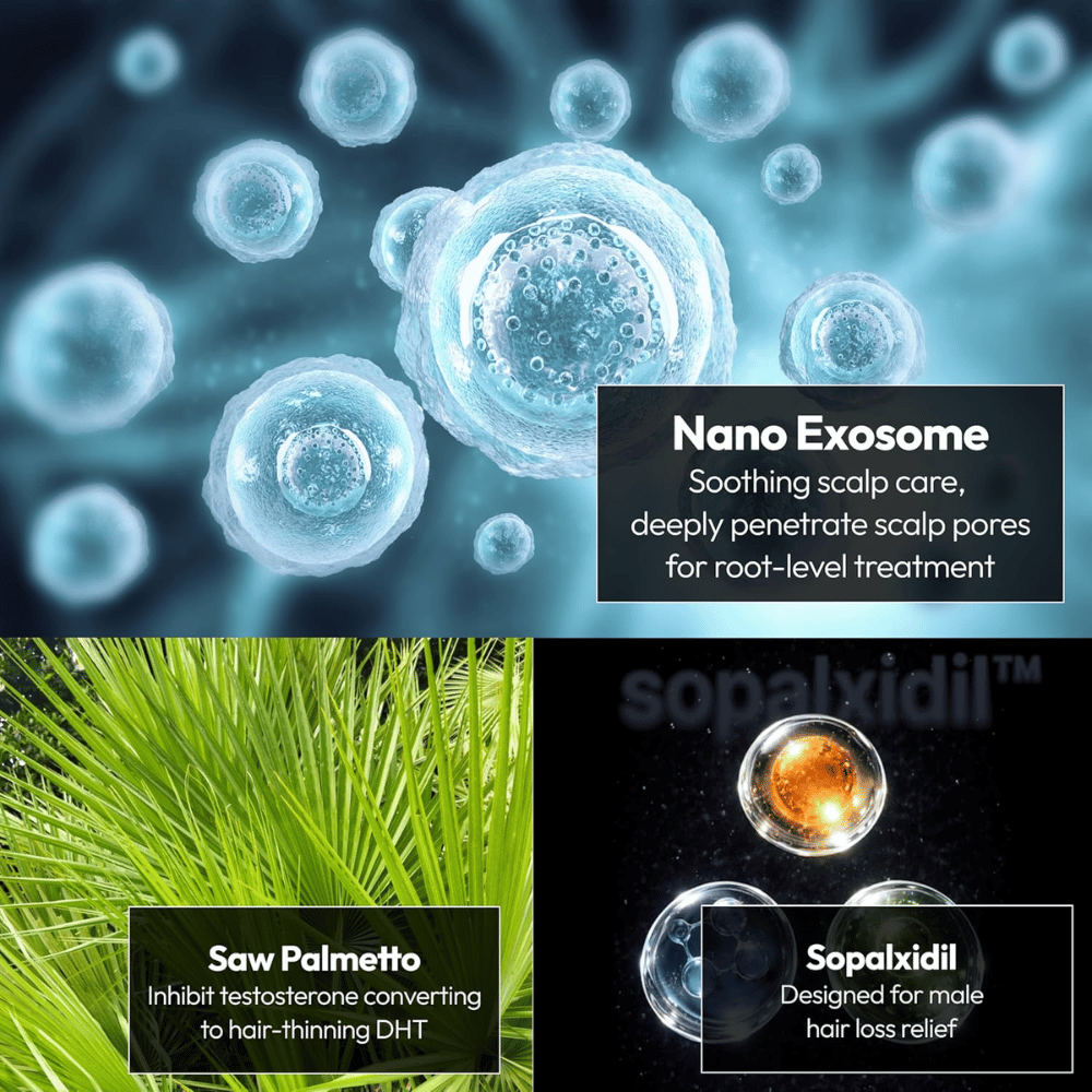 Illustrazione degli ingredienti chiave del prodotto, inclusi nanoesosomi, saw palmetto e Sopalxidil™. Gli ingredienti vengono messi in evidenza per supportare la cura del cuoio capelluto, ridurre la caduta dei capelli correlata al DHT e rafforzare le condizioni dei capelli.
