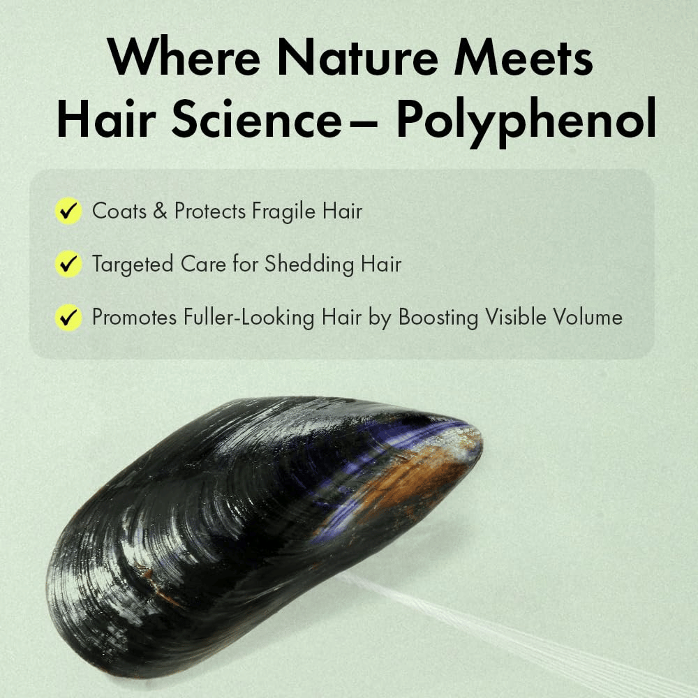 Illustrazione della tecnologia ai polifenoli del mitilo che aiuta a proteggere i capelli fragili, donare un volume più pieno e prendersi cura dei capelli percepiti come sottili o spenti.