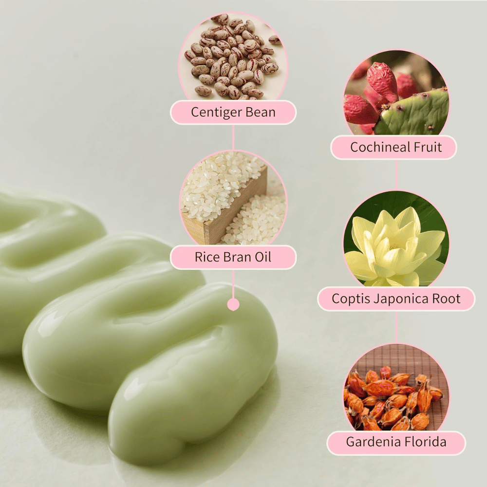 Beauty of Joseon Jello Skin Massage Cream con niacinamide, olio di crusca di riso, gardenia, coptis japonica ed estratti vegetali per una pelle idratata.