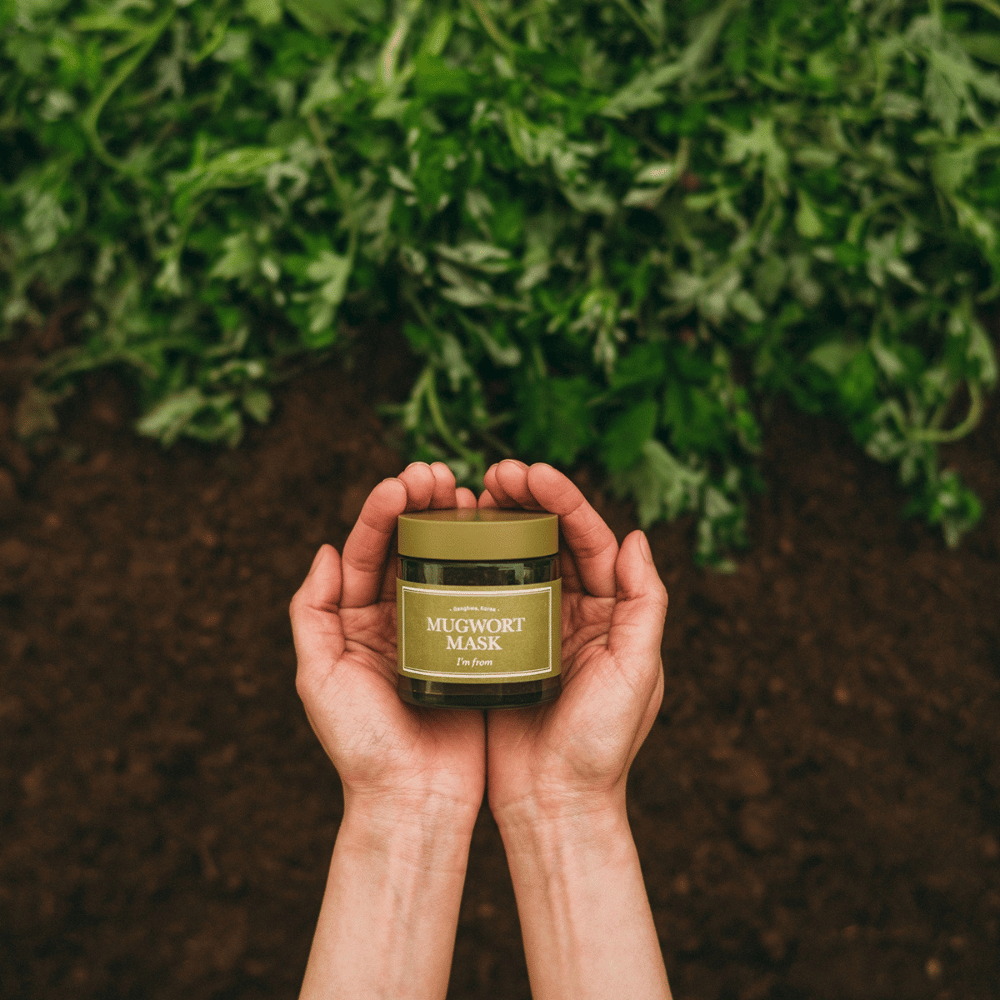 Mani che tengono I'm From Mugwort Mask su uno sfondo di terra e erbe fresche, mettendo in risalto gli ingredienti naturali del prodotto.