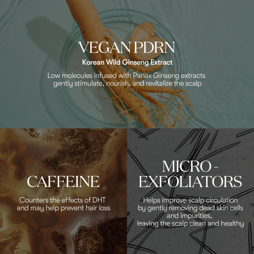 Illustrazione degli ingredienti attivi in PDRN Reedle Shot Hair Ampoule 100dL con PDRN vegano da ginseng selvatico coreano, caffeina e micro-esfolianti che nutrono e rivitalizzano il cuoio capelluto.